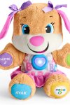 Fisher Price Eğitci Köpekçiğin Kız Kardeşi (Türkçe)