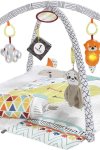Fisher Price Perfect Sense Jimnastik Merkezi Deluxe Oyun Halısı