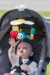 Fisher Price Mutlu Dünya Eğlenceli Bebek Arabası Oyuncağı Dönence